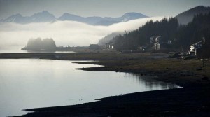 Juneau Fog